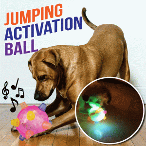 Pet Ball Endless Entertainment For Your Furry Friend